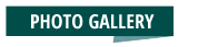 t fotogallery