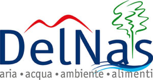 delnas logo