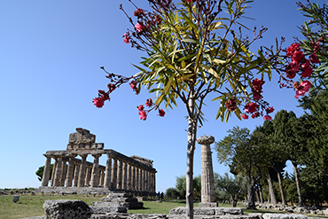 Tempio di Cerere