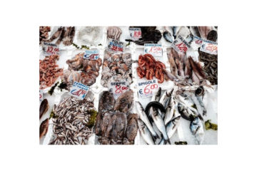 Quanto vale il mercato del pesce in Italia